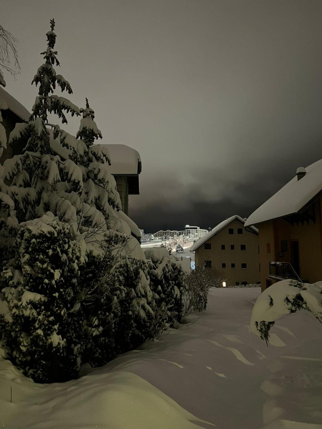 Apartmani Jasmina Zlatibor Exterior foto